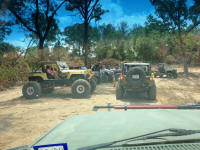 IMG_4184.jpg (425937 bytes)