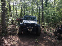 IMG_4215.jpg (501343 bytes)