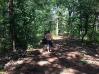 IMG_4217.jpg (496699 bytes)