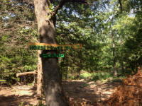 IMG_4223.jpg (447187 bytes)