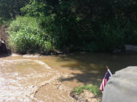 IMG_4234.jpg (296762 bytes)