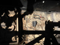 IMG_9427-sm.jpg (236726 bytes)